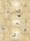 Butterflies in Flight II Art Print