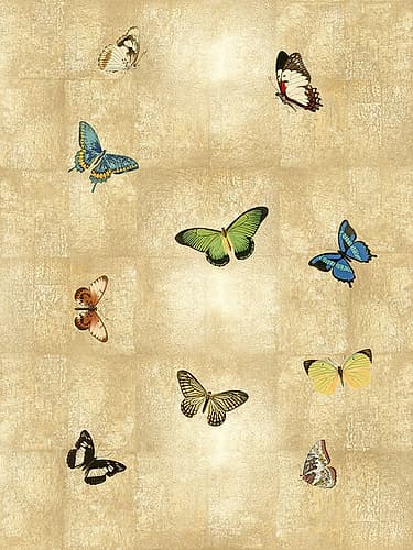 Butterflies on Gold I Art Print