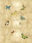 Butterflies on Gold II Art Print