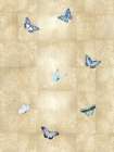 Butterflies Blue on Gold II Art Print