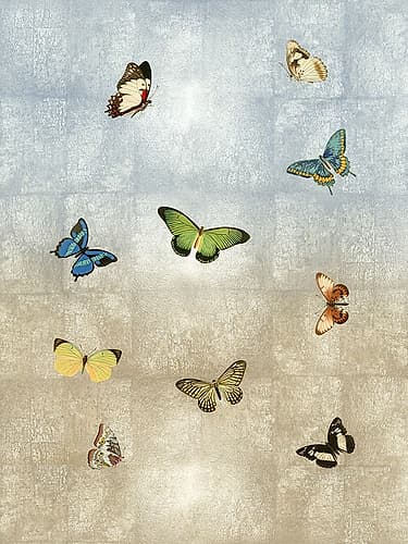 Butterflies Meet Up I Art Print by Madeline Blake