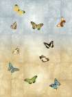Butterflies Meet Up II Art Print