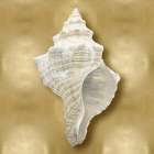Ocean Gem on Gold I Art Print