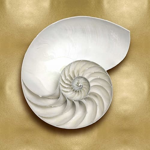 Ocean Gem on Gold II Art Print