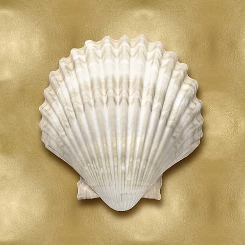 Ocean Gem on Gold IV Art Print