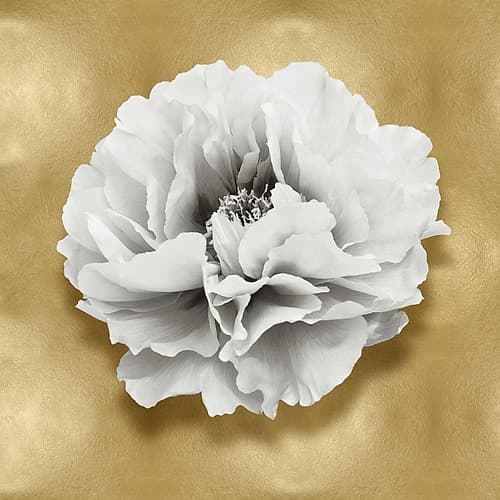 Pure III Art Print