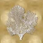 Sea Fan on Gold II Art Print