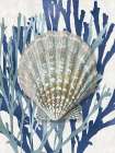 Shell Coral Aqua Blue IV Art Print