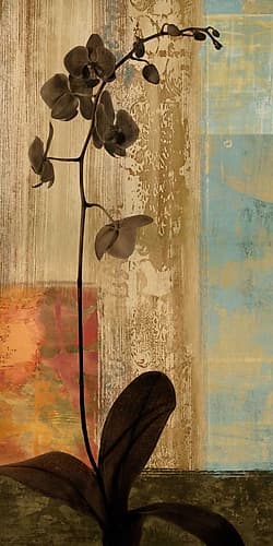 Numinous I Art Print
