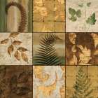 Natures Touch II Art Print