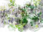 Garden Fence Art Print
