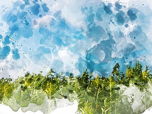 Tree Top Art Print