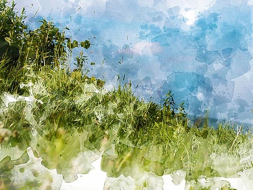 Grassy Meadow Art Print