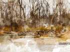 Autumn Forest II Art Print