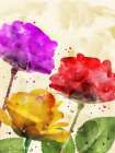 Mothers Day roses Art Print
