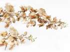 Floral Branch III Art Print