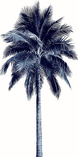 Palm Tree Blue I Coastal Print