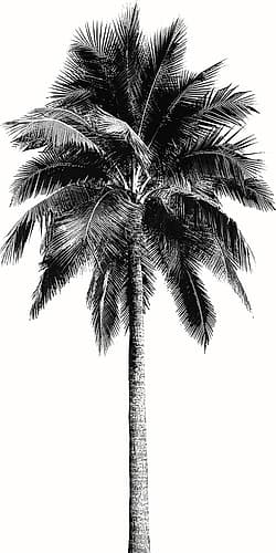 Palm Tree I Coastal Print