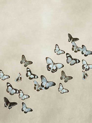 Spring Flight I Animaux reproduction