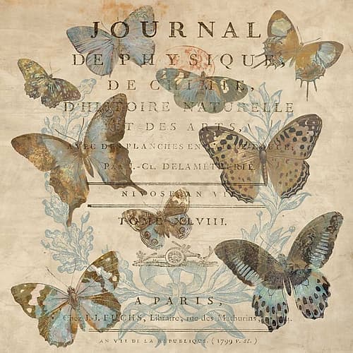 Papillon I Art Print