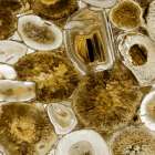 Agate in Gold I Art Print