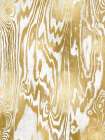 Golden Movement I Art Print
