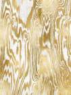 Golden Movement II Art Print