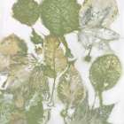 Nature I Art Print