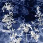 Indigo Nature II Art Print