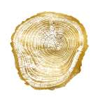 Timber Gold III Art Print