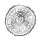 Timber Silver II Art Print