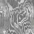 Silver Variations II Art Print