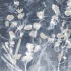 Nature in Grey II Art Print