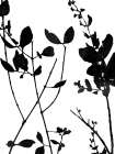 Nature Silhouette I Art Print