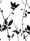 Nature Silhouette IV Art Print