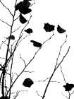 Nature Silhouette V Art Print