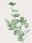 Nature Green I Art Print