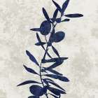 Nature Blue IV Art Print