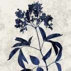 Nature Blue V Art Print