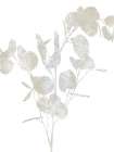 Natural Nature III Art Print