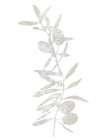 Natural Nature IV Art Print