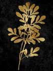 Nature Gold on Black II Art Print