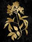 Nature Gold on Black V Art Print