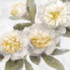 Ivory Bloom Art Print