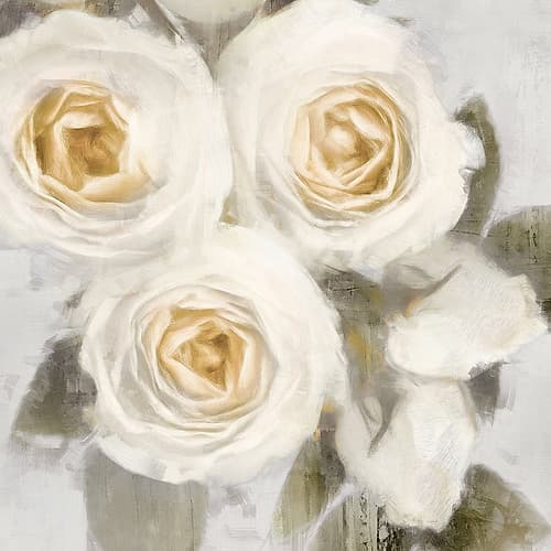 Ivory II Art Print