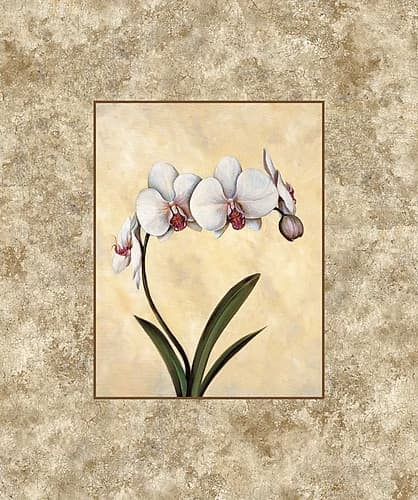 Perfection I Art Print