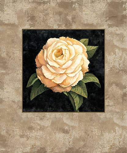 Yellow Peony Art Print by E. Lopez