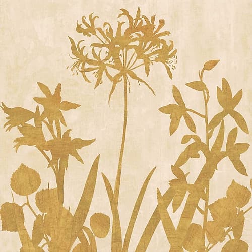Golden Reflections I Art Print