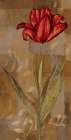 Red Impression I Art Print
