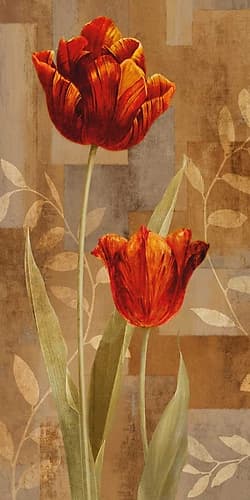 Red Impression II Art Print